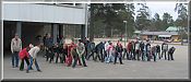 Palloviestit alkamassa